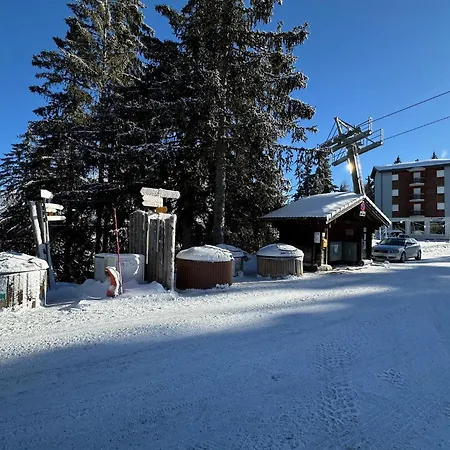 Alpine In And Out, 4 Valleys, Swiss Alps Apartment Vex