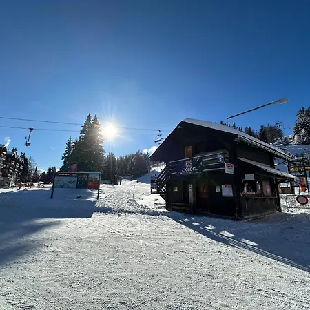 Alpine In And Out, 4 Valleys, Swiss Alps *